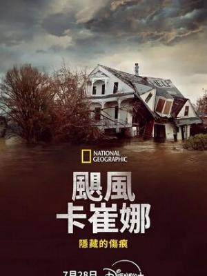 血液循环之旅